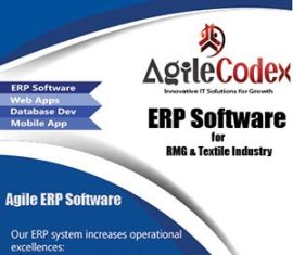 Enterprise Resource Planning ( ERP )