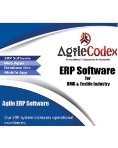 Enterprise Resource Planning ( ERP )