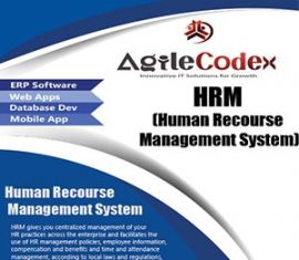 Human Recourse Management System ( HRM )